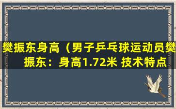 樊振东身高（男子乒乓球运动员樊振东：身高1.72米 技术特点与职业生涯）